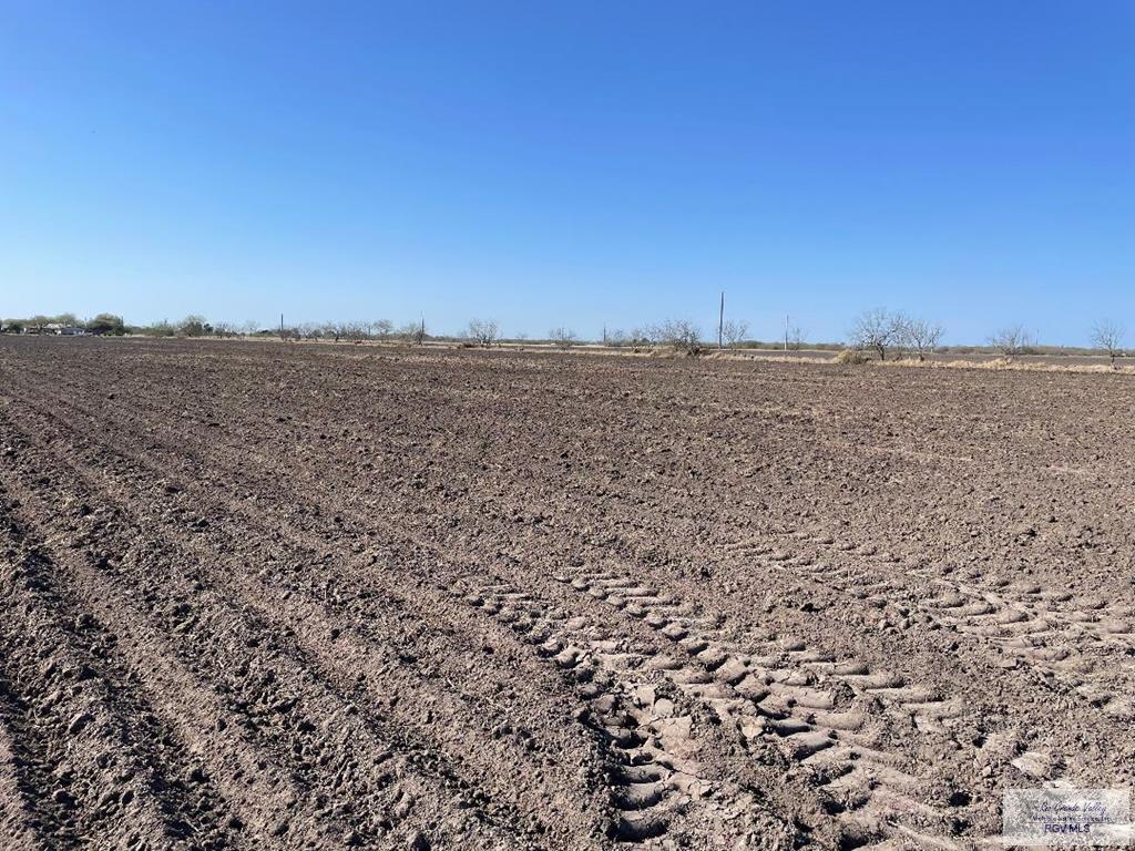 32.94 Acres Villafranco Rd, RIO HONDO, Texas image 6