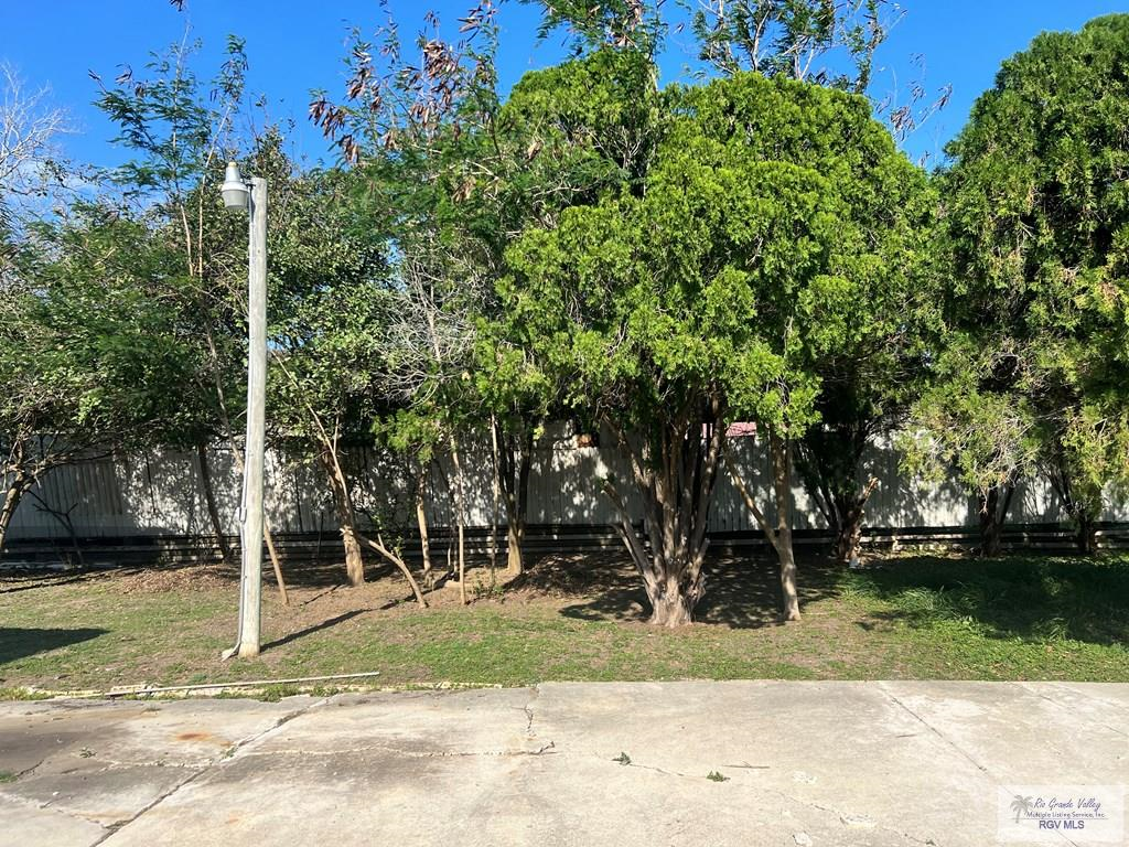 820 Scott Brown Blvd, SAN BENITO, Texas image 2