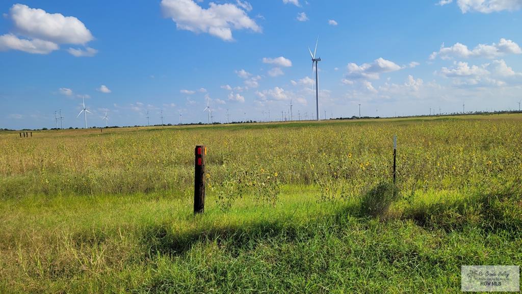 Rancho Alegre Rd, SEBASTIAN, Texas image 1