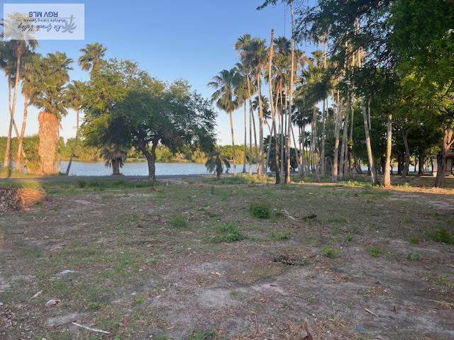 Lakeside Blvd, OLMITO, Texas image 3
