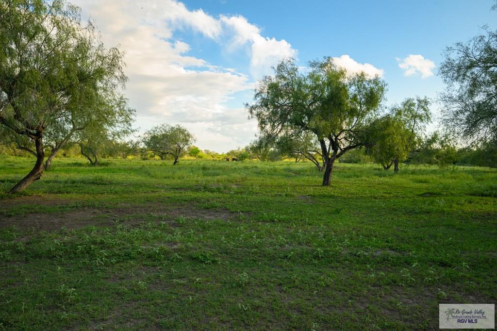 9639 W State Highway 186, RAYMONDVILLE, Texas image 31