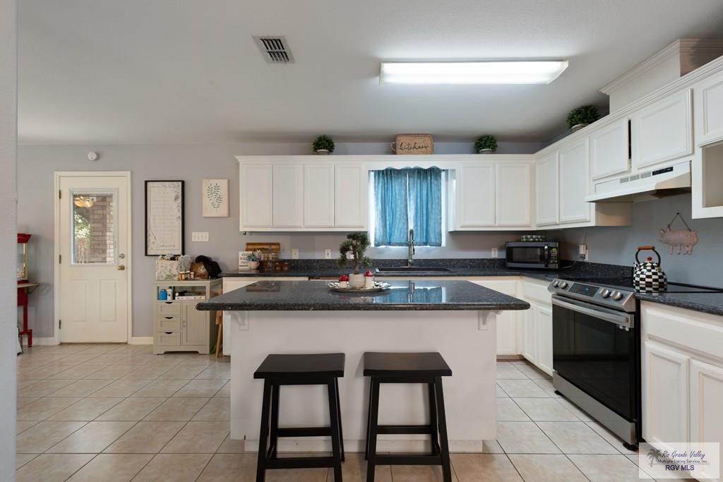 2907 Armadillo Cir, BROWNSVILLE, Texas image 9