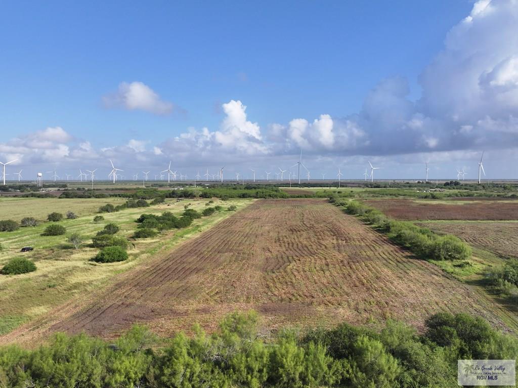 Villarreal Rd, RIO HONDO, Texas image 13