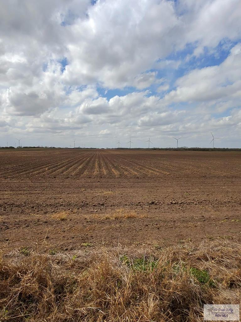 +-160 ACRES N Gardenia Rd #TRACT 3 THRU 4, LYFORD, Texas image 3