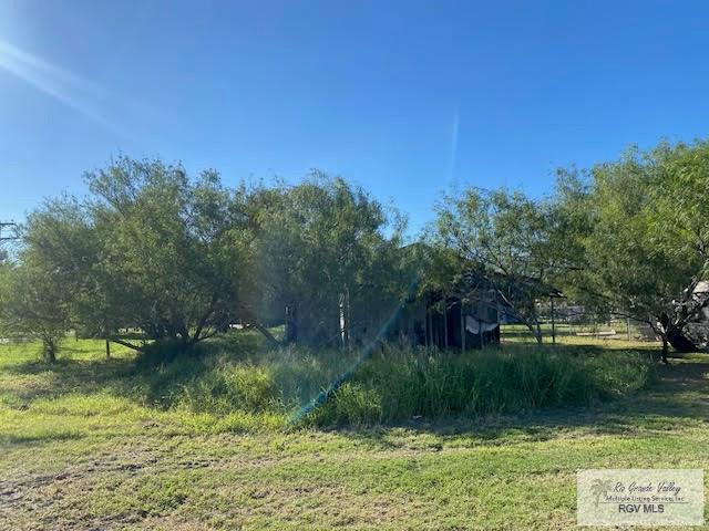 00 10th St #12,1314, SAN PERLITA, Texas image 8