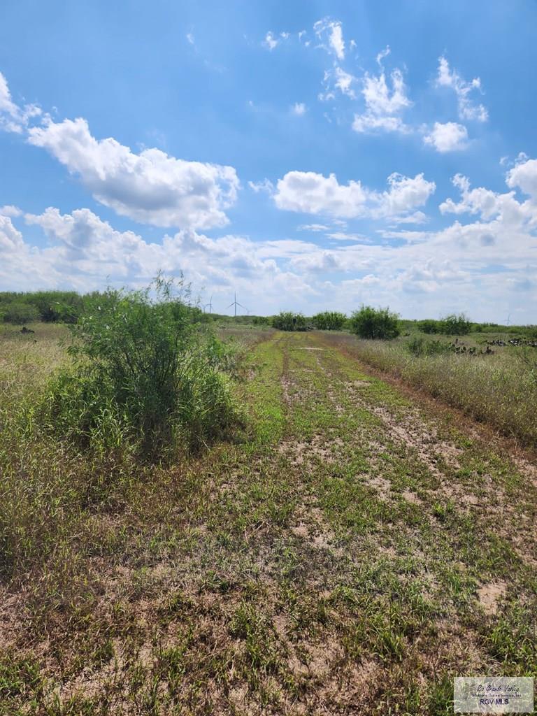 E Fernando Rd, RIO HONDO, Texas image 11