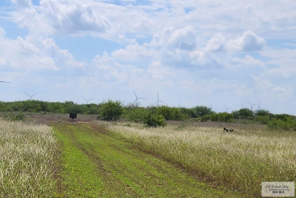 E Fernando Rd, RIO HONDO, Texas image 16