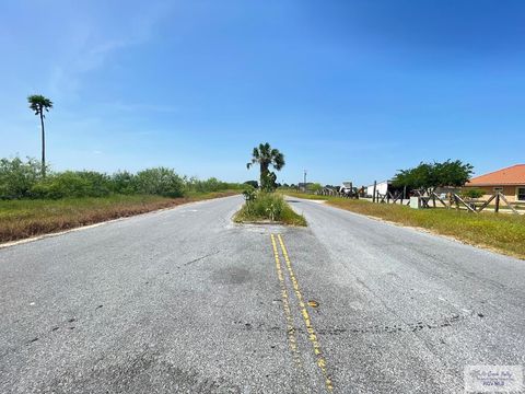 Vacant Land For Sale - 29299 Green Valley Dr<br/> Cameron County, SAN BENITO, TX 78586