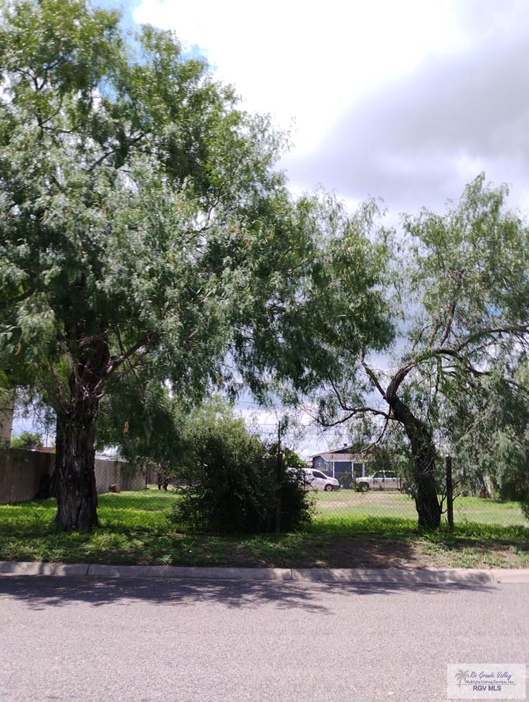 210 Primrose Ave, LA FERIA, Texas image 3