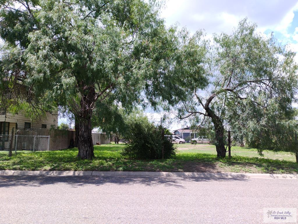 210 Primrose Ave, LA FERIA, Texas image 1