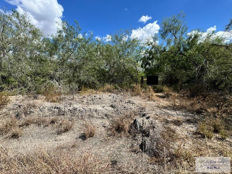 8.06 Acres Chavez Cemetery Road, RAYMONDVILLE, Texas image 1