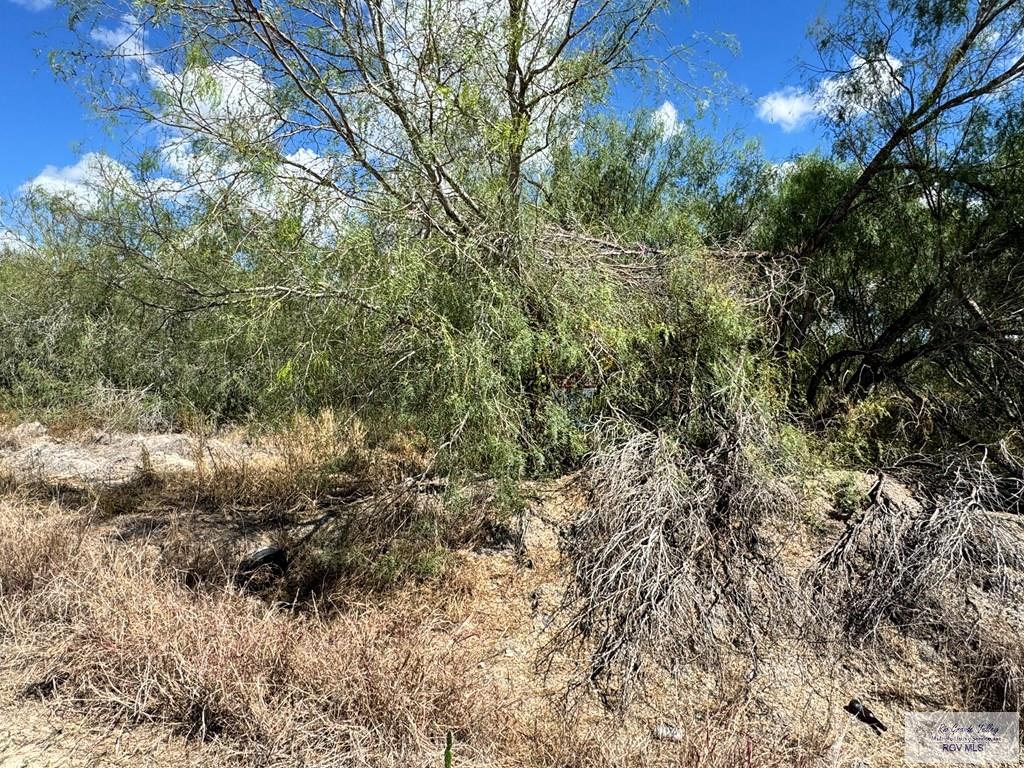 8.06 Acres Chavez Cemetery Road, RAYMONDVILLE, Texas image 3