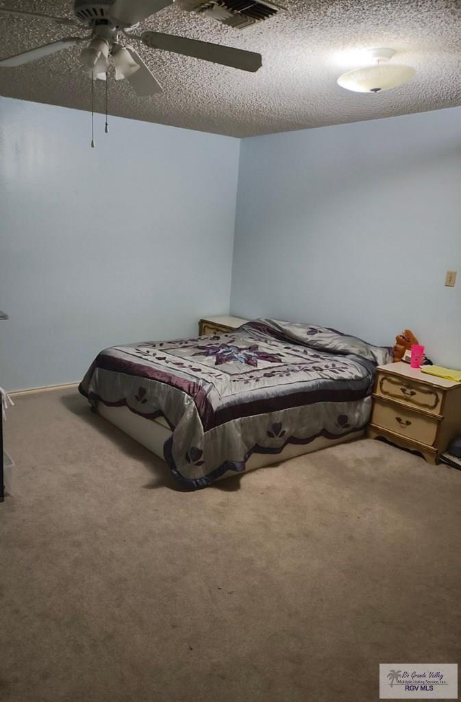 5206 Guava Dr, HARLINGEN, Texas image 8