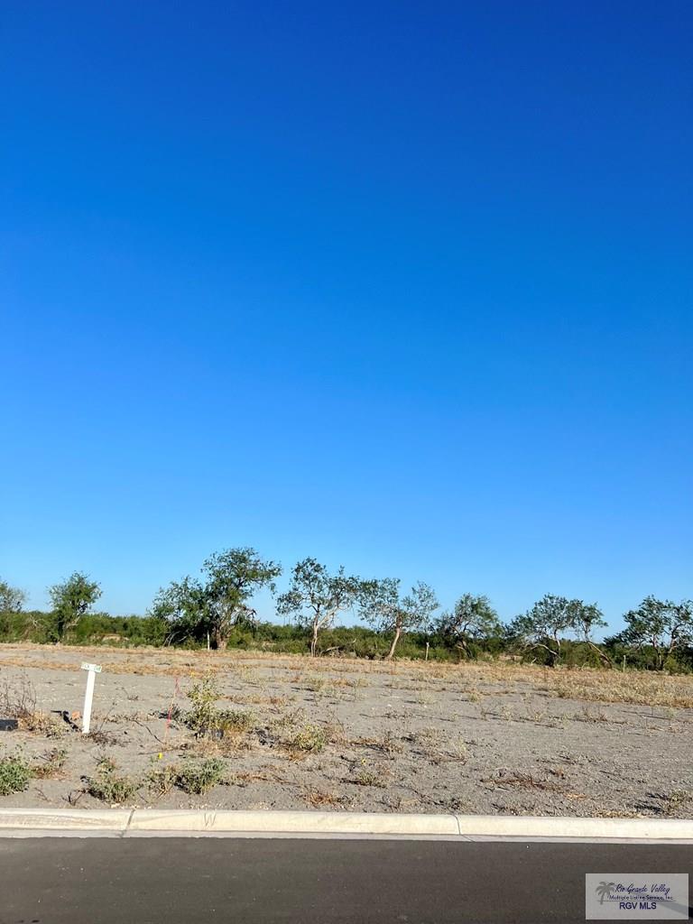 Lot 66 Ranch Park Rd #66 60X163, SAN BENITO, Texas image 3