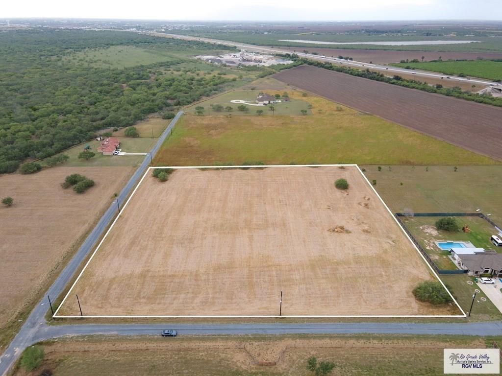 Armadillo, OLMITO, Texas image 5