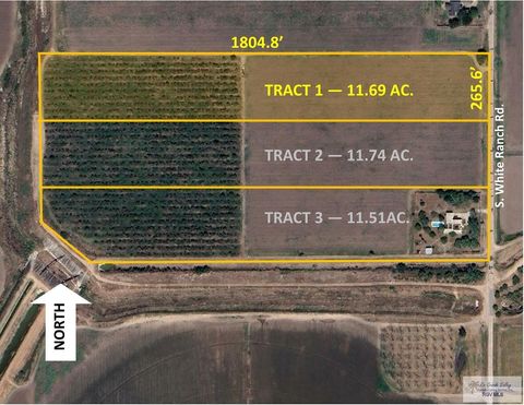 Vacant Land For Sale - TRACT 1 S White Ranch Rd<br/> LA FERIA, TX 78559