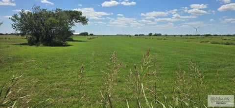 Vacant Land For Sale - 00 Nelson Rd<br/> Cameron County, RIO HONDO, TX 78583