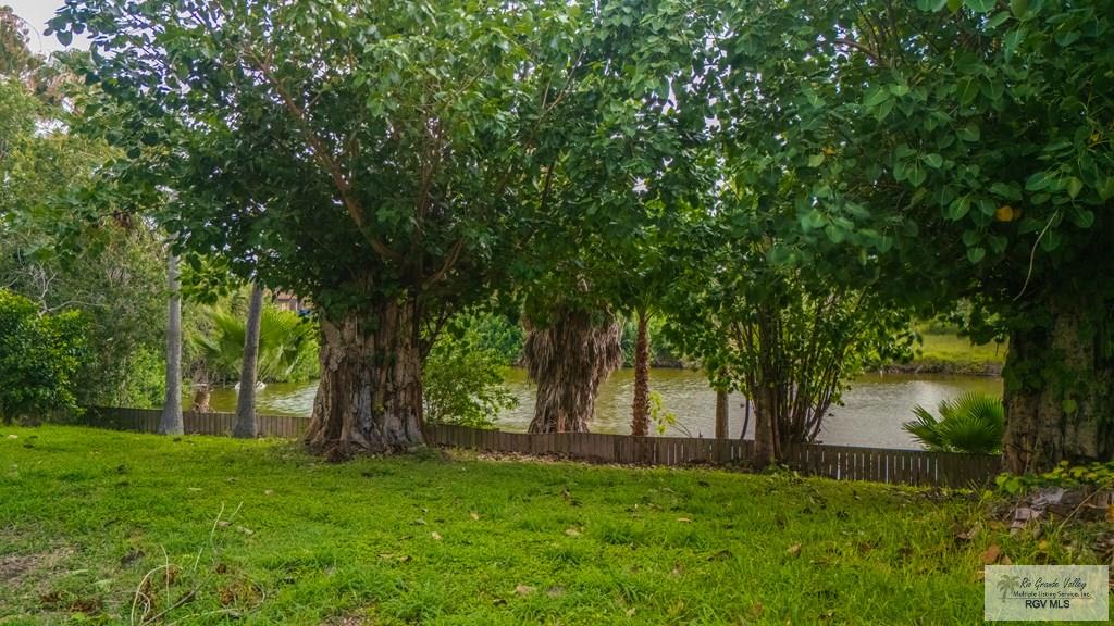 115 E Armstrong Ct, BROWNSVILLE, Texas image 9