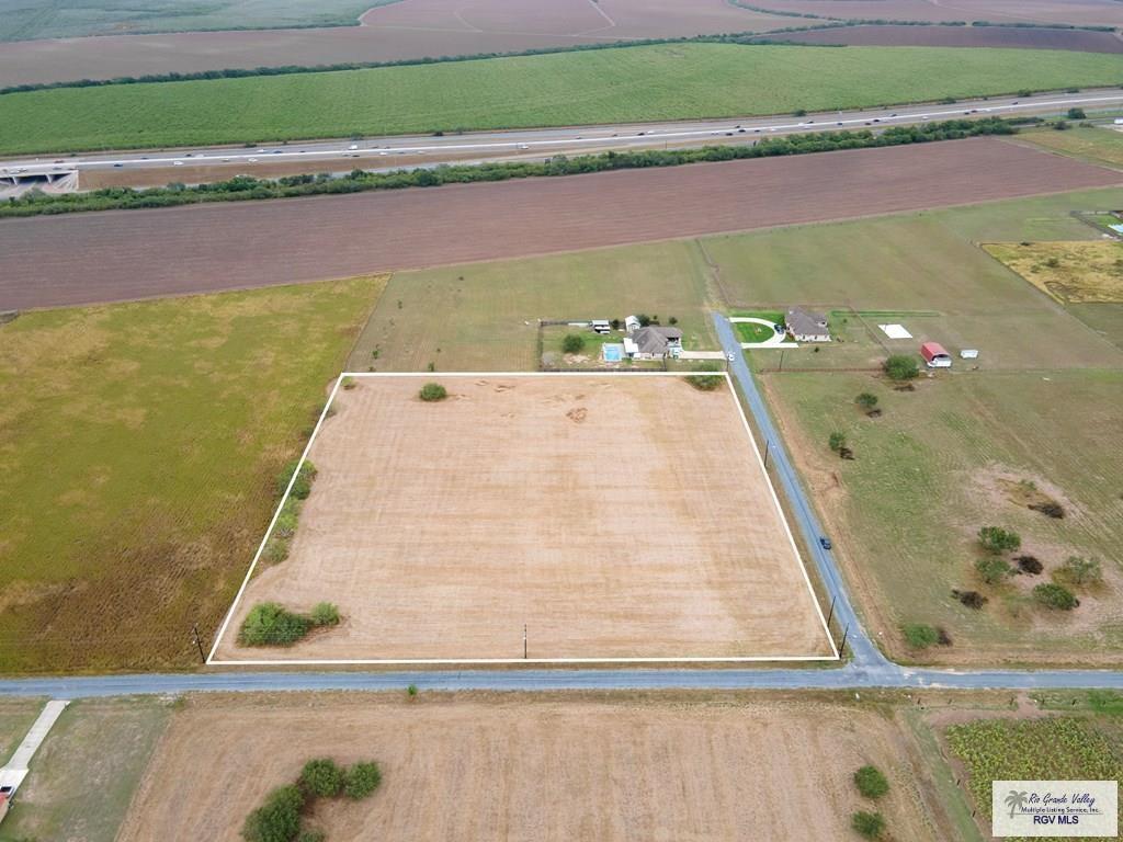 Armadillo, SAN BENITO, Texas image 3