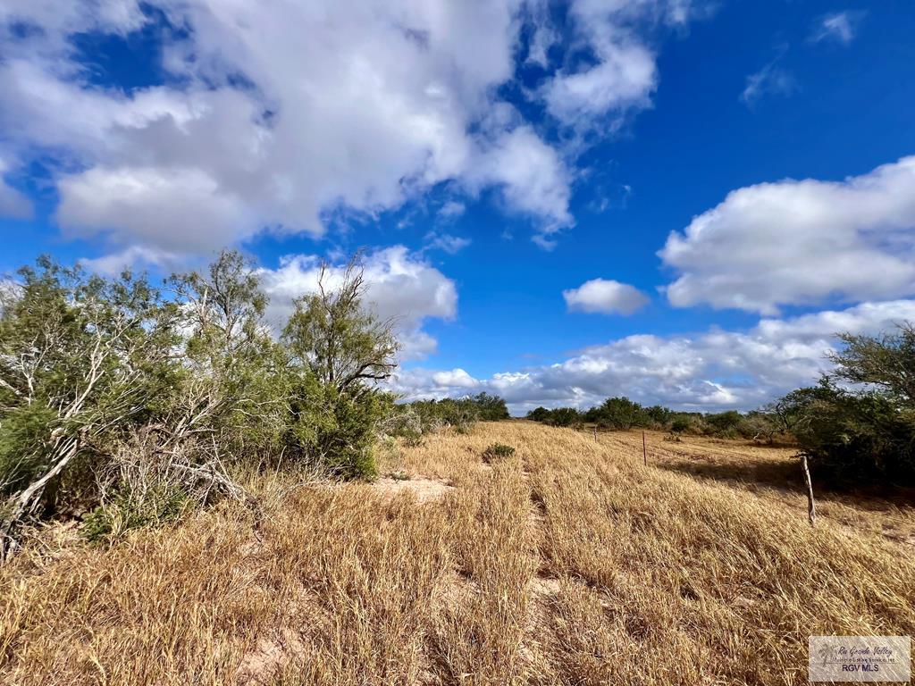 705 Acre Fm 2687, ZAPATA, Texas image 41