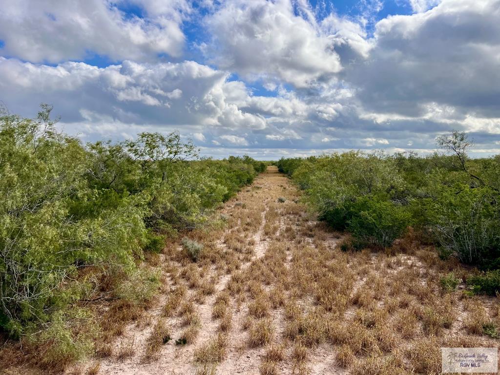 705 Acre Fm 2687, ZAPATA, Texas image 44