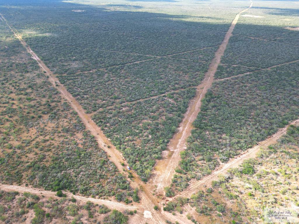 705 Acre Fm 2687, ZAPATA, Texas image 34
