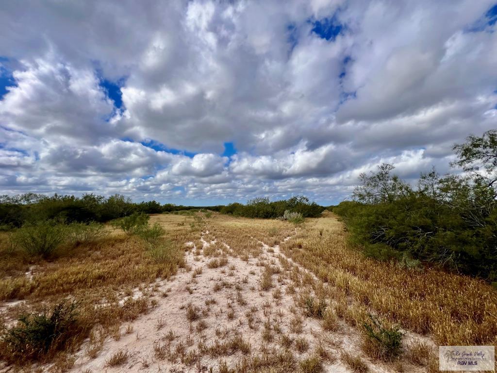 705 Acre Fm 2687, ZAPATA, Texas image 46