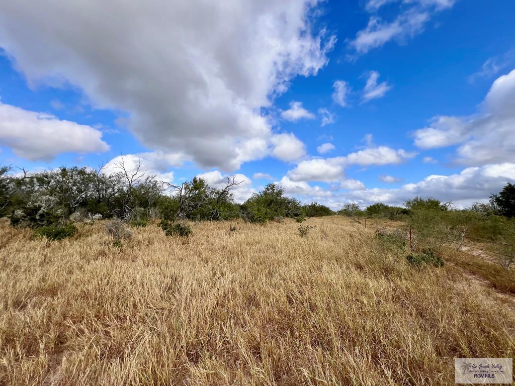 705 Acre Fm 2687, ZAPATA, Texas image 42