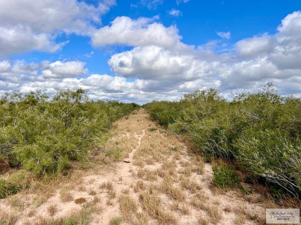 705 Acre Fm 2687, ZAPATA, Texas image 43