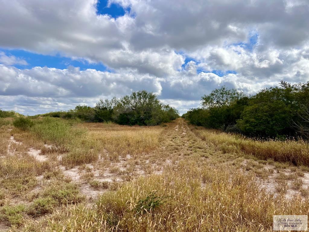 705 Acre Fm 2687, ZAPATA, Texas image 45