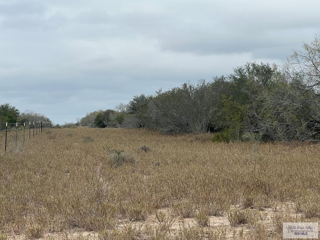 705 Acre Fm 2687, ZAPATA, Texas image 50