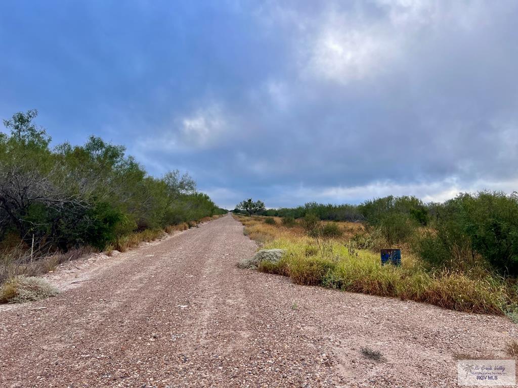 705 Acre Fm 2687, ZAPATA, Texas image 35