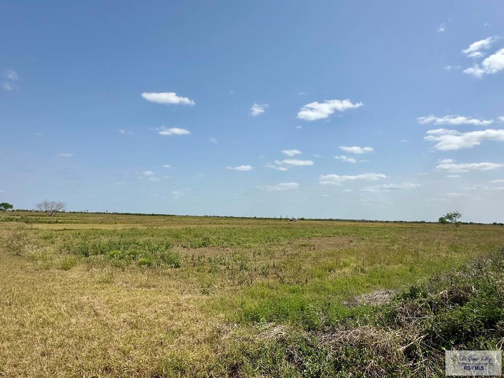 2116 Cavazos Rd, LASARA, Texas image 15