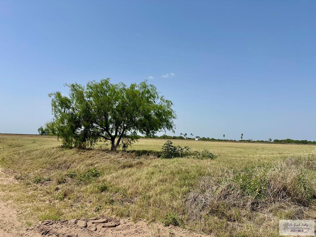 2116 Cavazos Rd, LASARA, Texas image 8