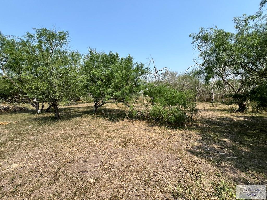 5790 Southmost Rd, BROWNSVILLE, Texas image 3