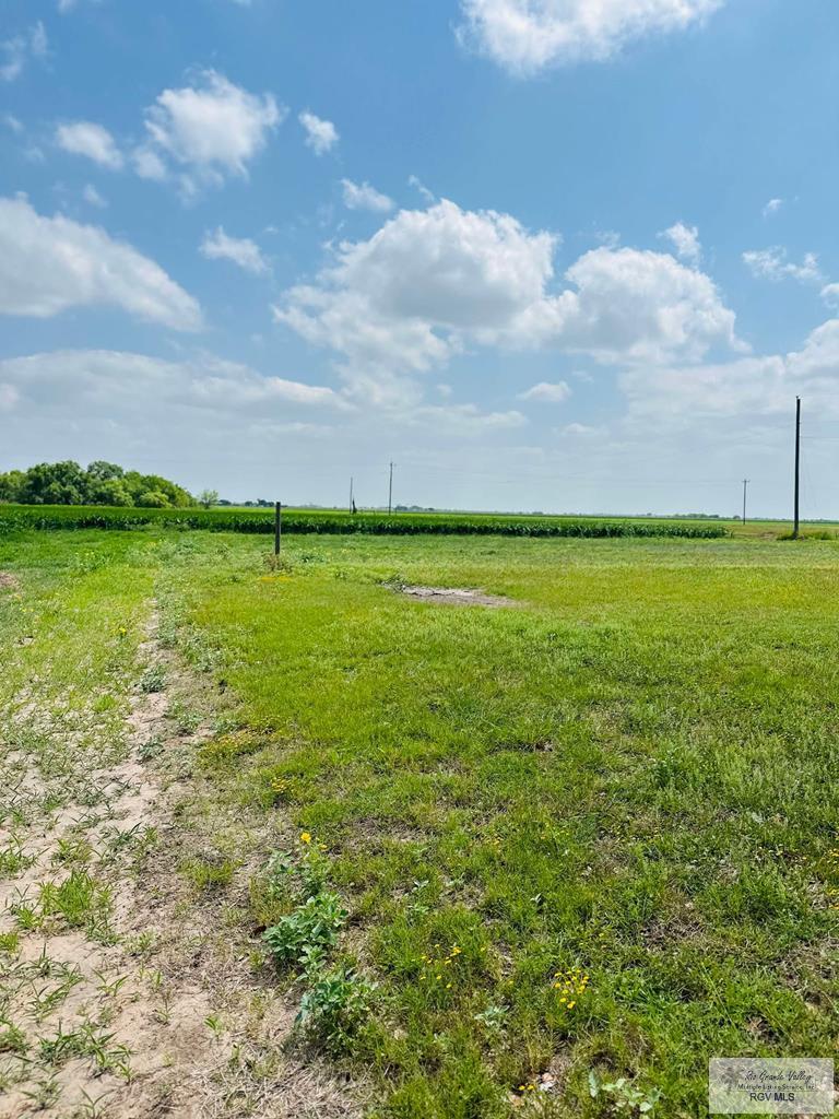 15598 Brandt Service Rd, RAYMONDVILLE, Texas image 36
