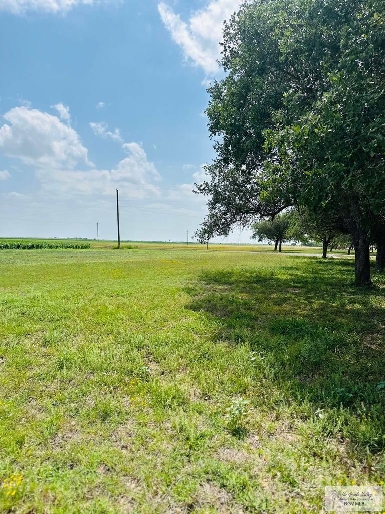 15598 Brandt Service Rd, RAYMONDVILLE, Texas image 37