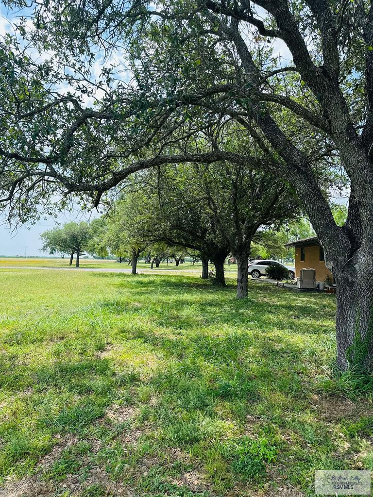 15598 Brandt Service Rd, RAYMONDVILLE, Texas image 34
