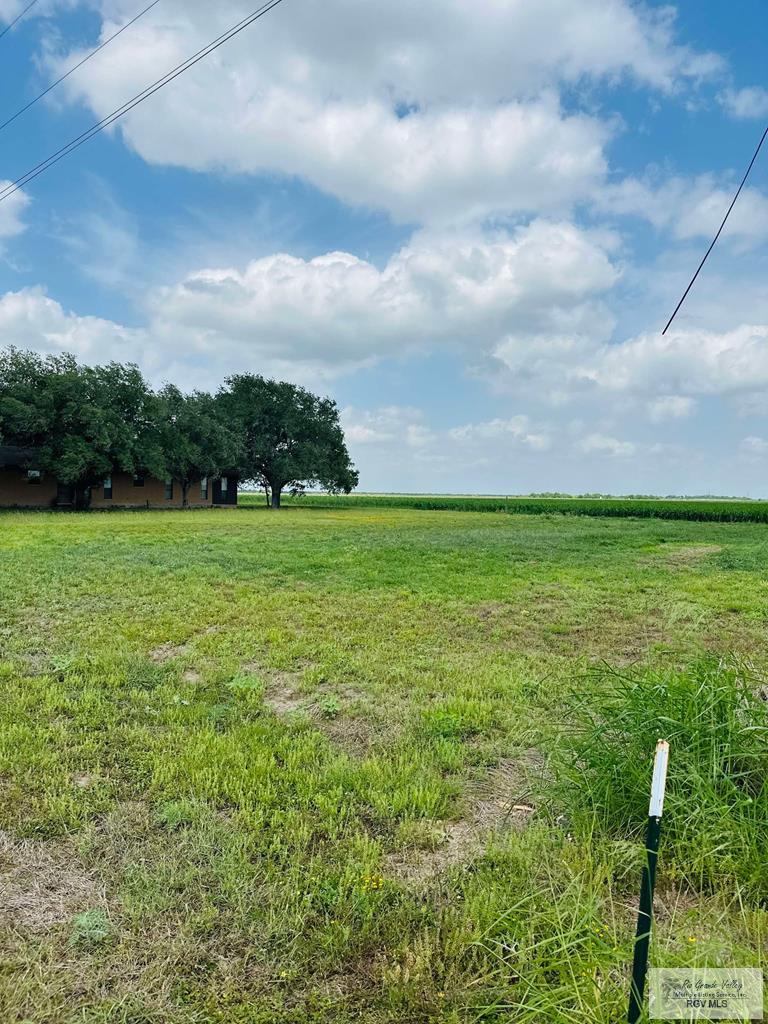 15598 Brandt Service Rd, RAYMONDVILLE, Texas image 40
