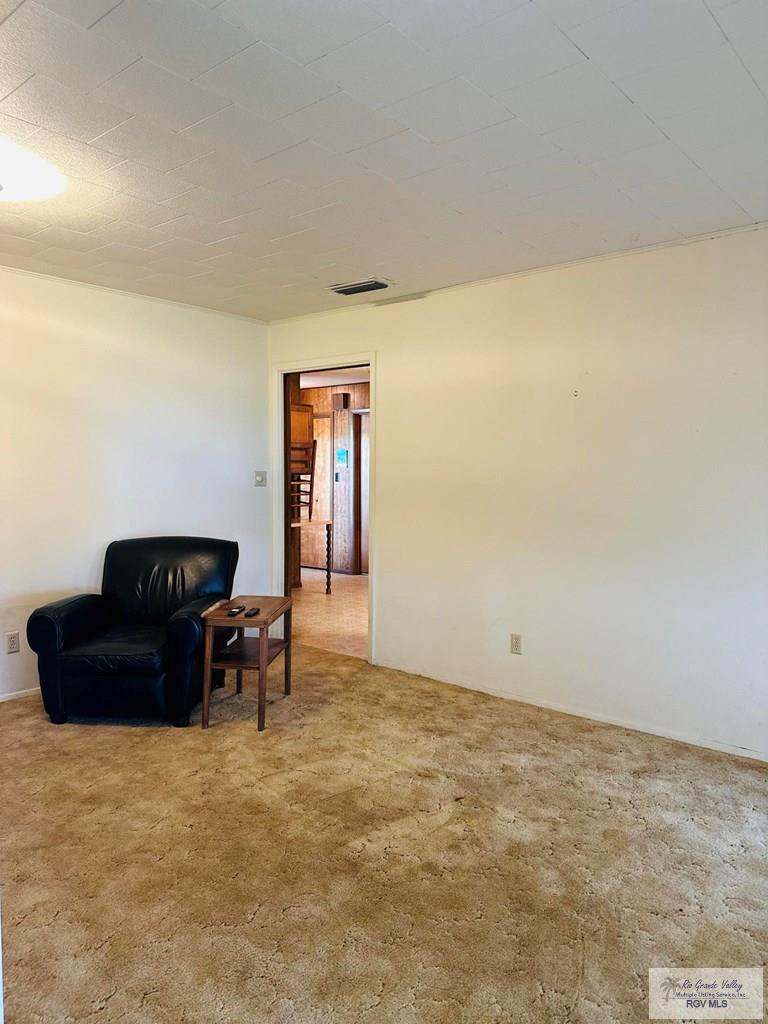 15598 Brandt Service Rd, RAYMONDVILLE, Texas image 5