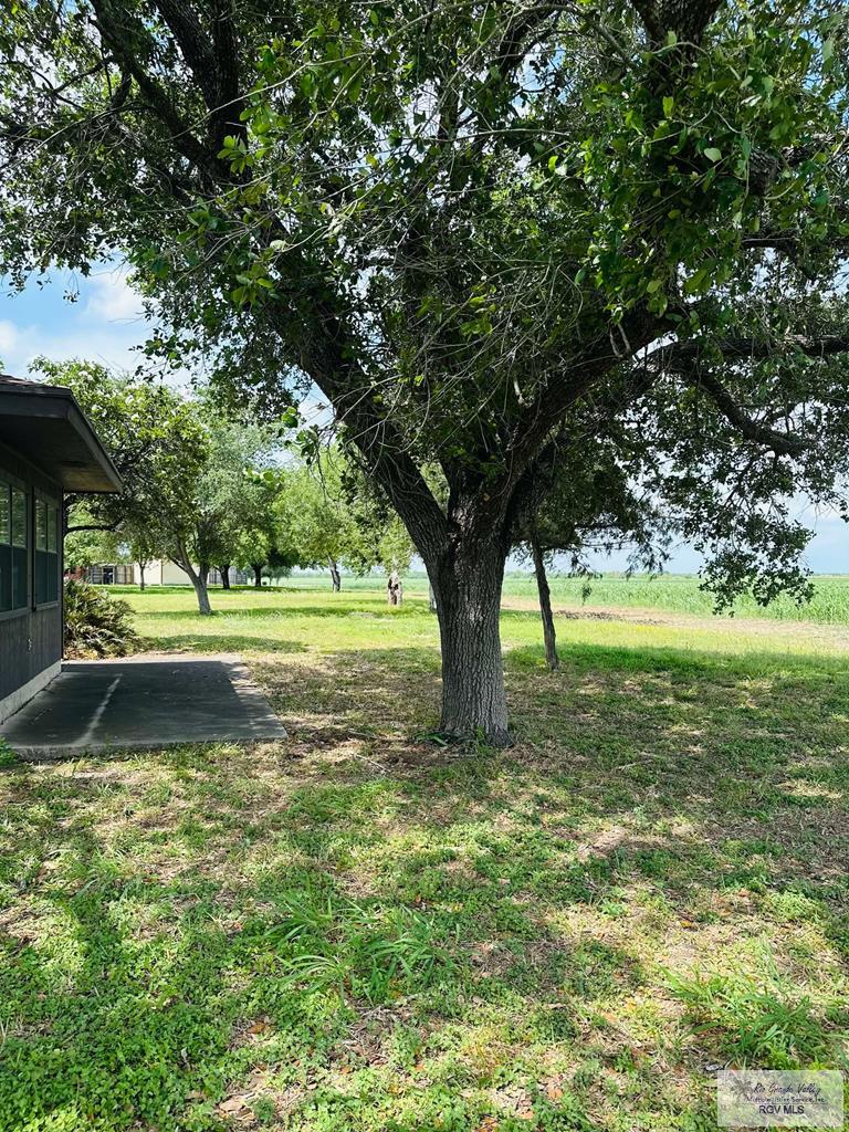15598 Brandt Service Rd, RAYMONDVILLE, Texas image 44
