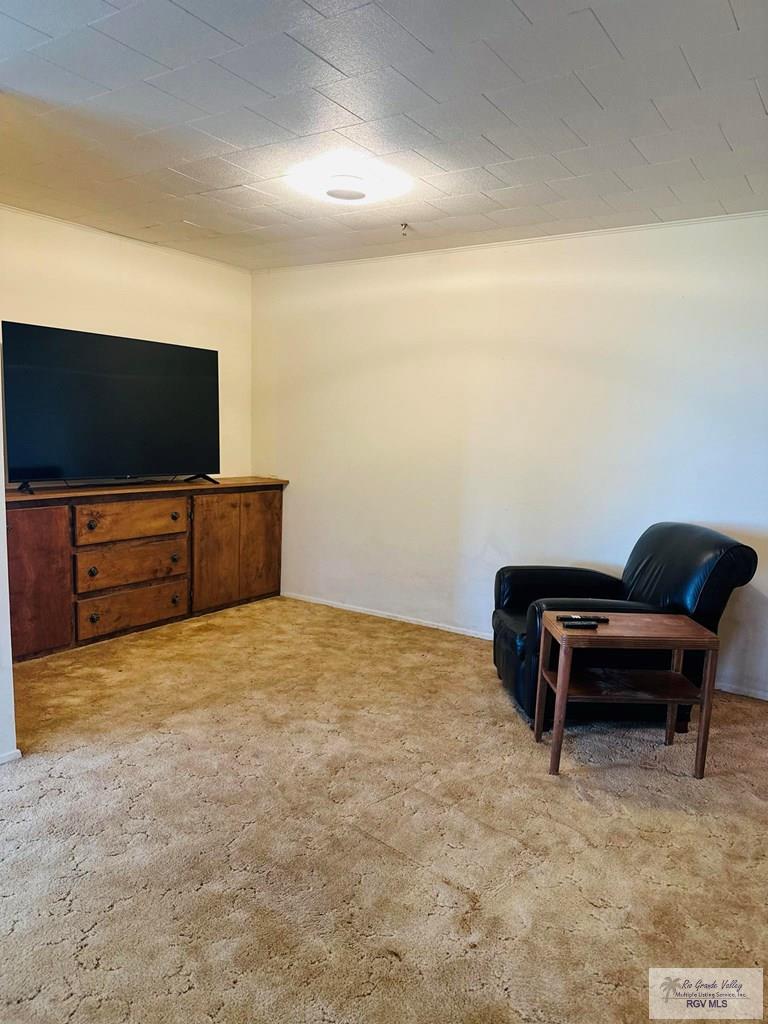 15598 Brandt Service Rd, RAYMONDVILLE, Texas image 4
