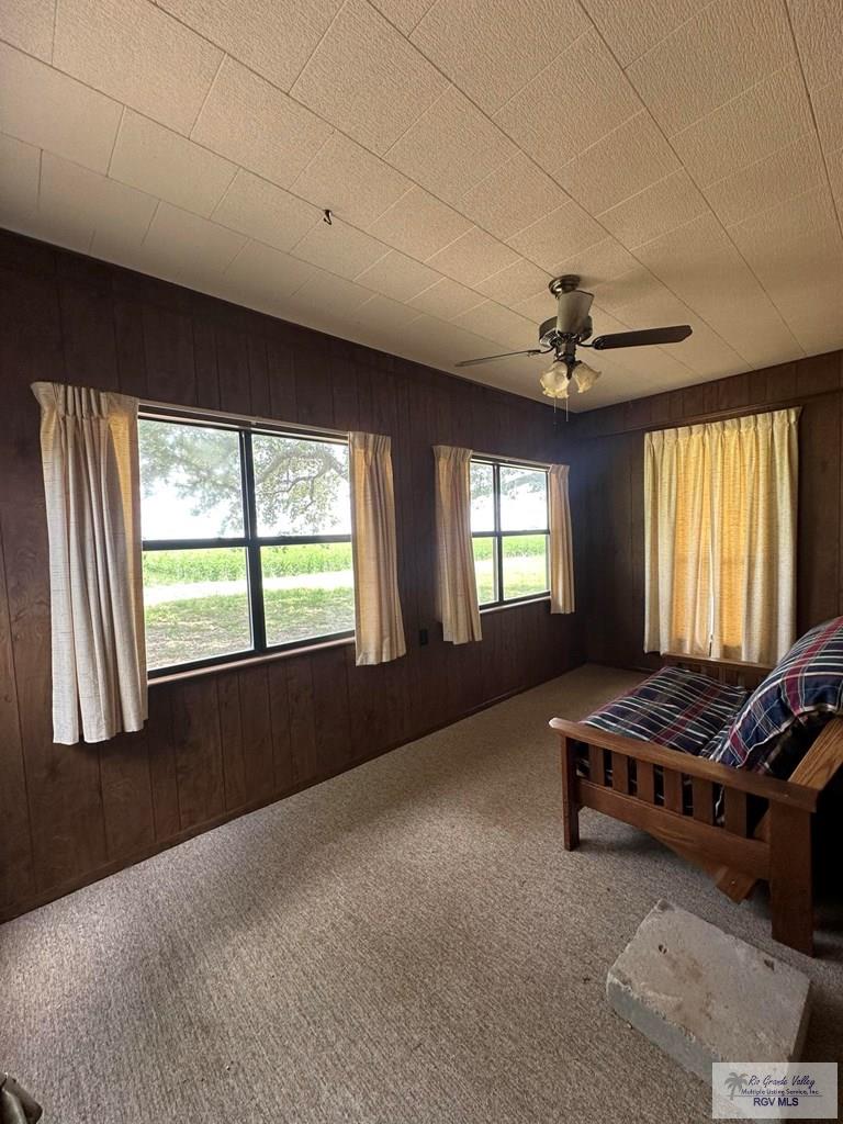 15598 Brandt Service Rd, RAYMONDVILLE, Texas image 12