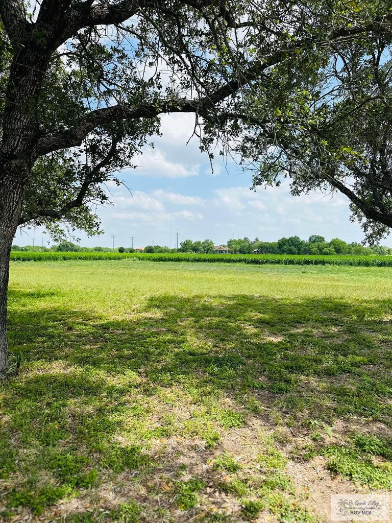 15598 Brandt Service Rd, RAYMONDVILLE, Texas image 35