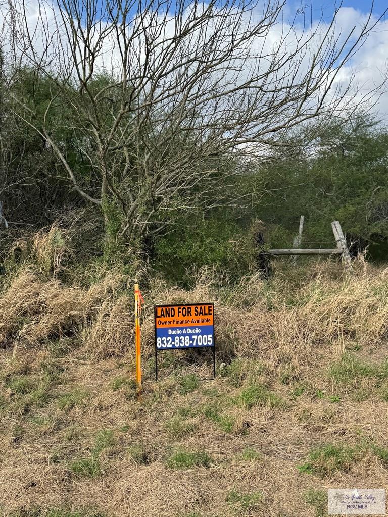 Fm 2925, RIO HONDO, Texas image 15