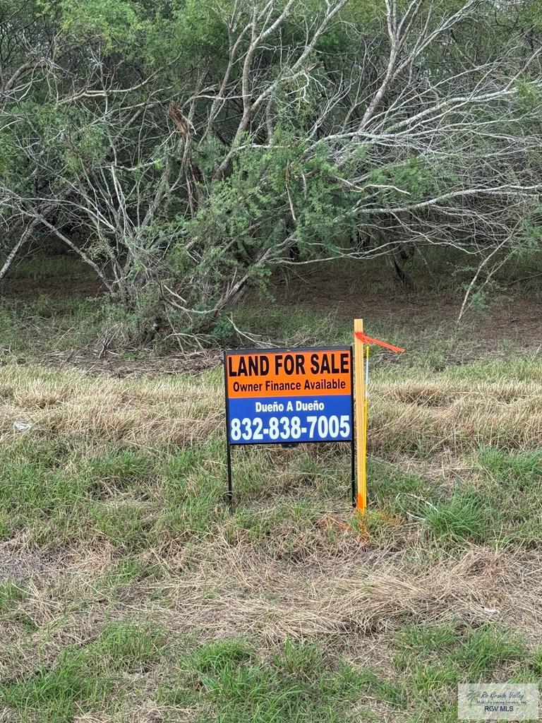 Fm 2925, RIO HONDO, Texas image 16