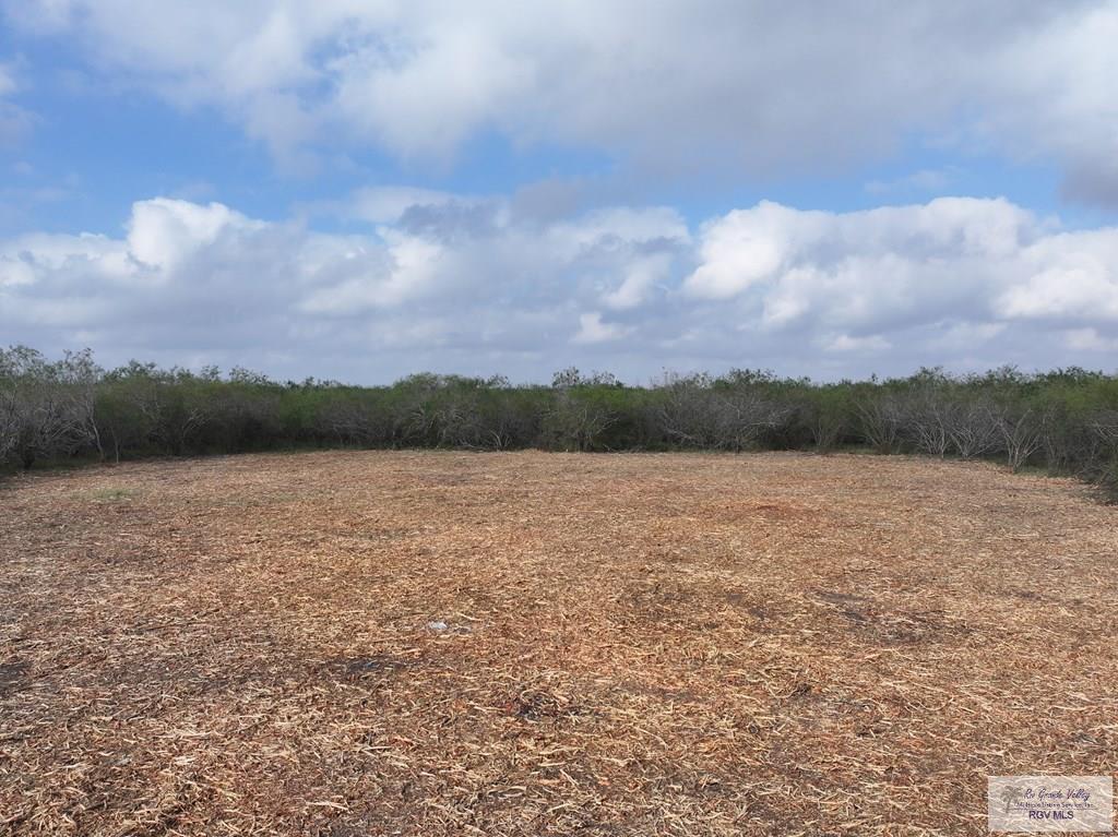 Fm 2925, RIO HONDO, Texas image 6