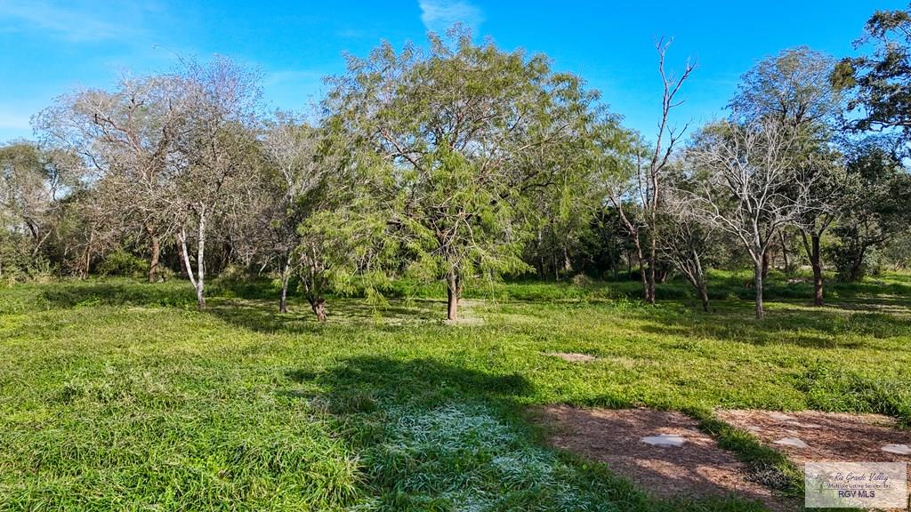 10 ACRES Wilson Road, HARLINGEN, Texas image 3