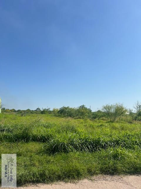 Old Military Hwy, BROWNSVILLE, Texas image 5