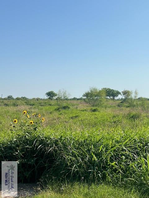 Old Military Hwy, BROWNSVILLE, Texas image 6